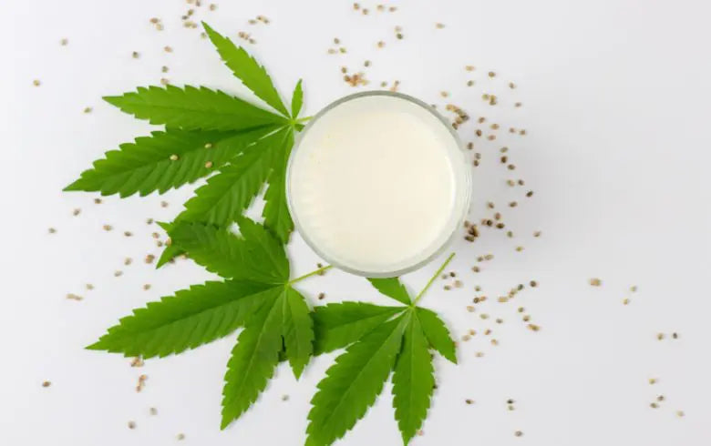 Infusion au CBD : Comment Préparer une Boisson Relaxante